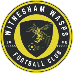 Witnesham Wasps FC badge